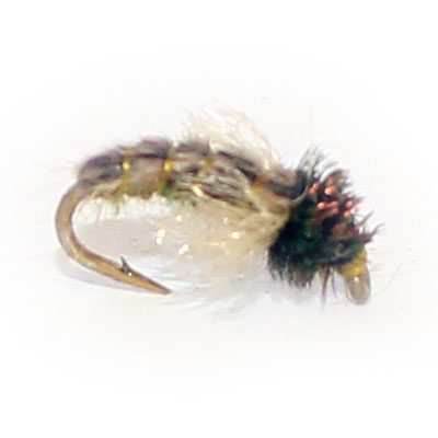 Z Wing Caddis Flyshop Nz Ltd