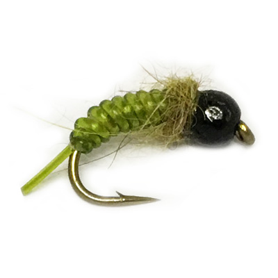 Green Fat Jelly Caddis Tb Flyshop Nz Ltd