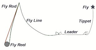 Fly Fishing Lines, Leaders & Tippets - Fly Fisherman