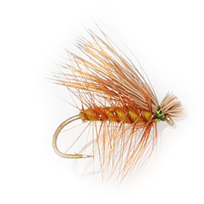 Elk Caddis Olive 18: Flyshop NZ Ltd