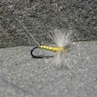 Cdc Biot Spinner Pale Morning Dun (Dozens)