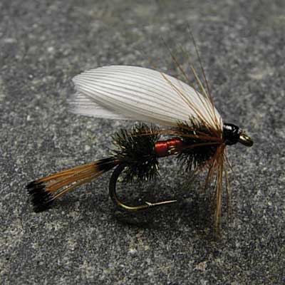 Wet Royal Coachman: Flyshop NZ Ltd