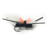 Kiwi Cricket Gnat Blowfly
