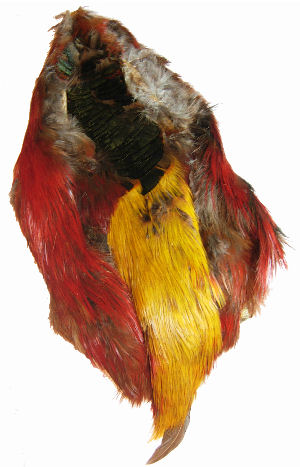 Golden Pheasant Skin: Flyshop NZ Ltd