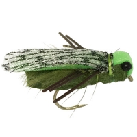 Cicada - Deadly Foam