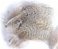 English Partridge Feathers - Grey Neck