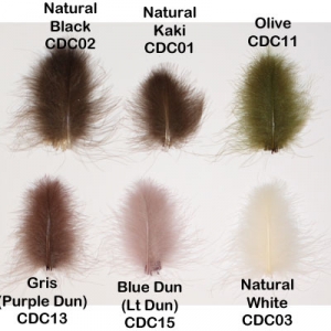 Cdc Ex Select Feathers