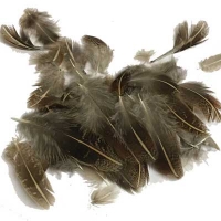 English Partridge Grey Shoulder Stripped Hackle