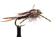 Rubber Stonefly GC Brown TB