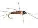 Simons Ugly Pheasant Tail